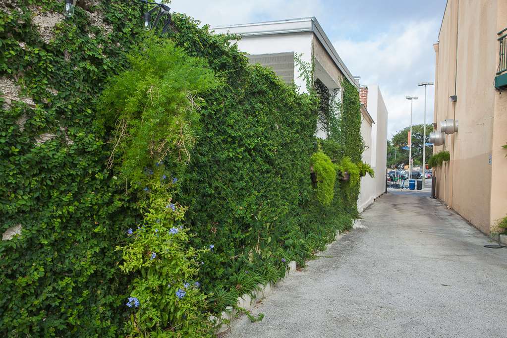 O'Brien Riverwalk Boutique Hotel San Antonio Buitenkant foto